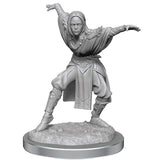 Pathfinder Battles: Deep Cuts - Half-Elf Monk Female (W21)
