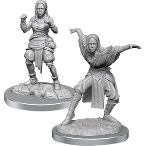 Pathfinder Battles: Deep Cuts - Half-Elf Monk Female (W21)