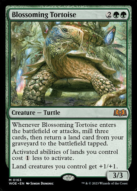 Blossoming Tortoise - WOE
