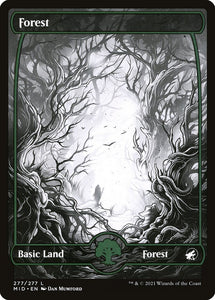 Forest - MID (Full Art) Foil