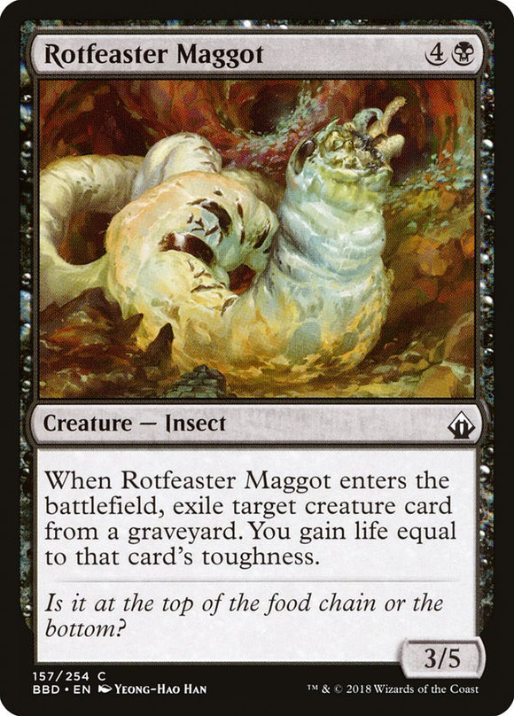 Rotfeaster Maggot - BBD