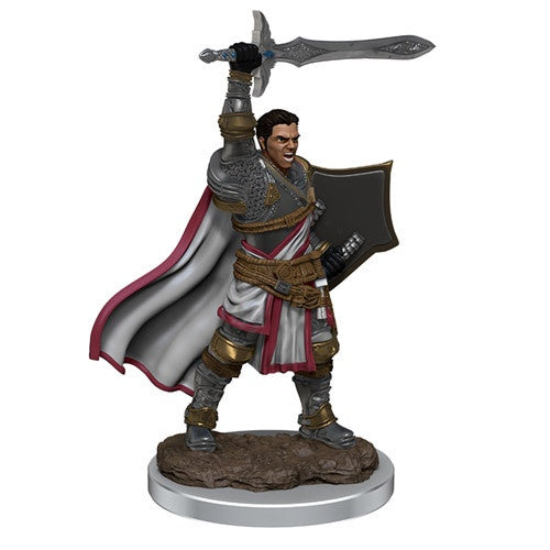 D&D Icons of the Realms:  Premium Painted Figures - Male Human Paladin (W7)