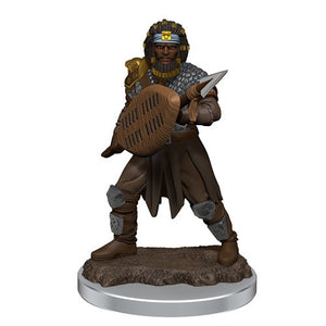 D&D Icons of the Realms: Premium Painted Figures - Male Human Fighter (W7)